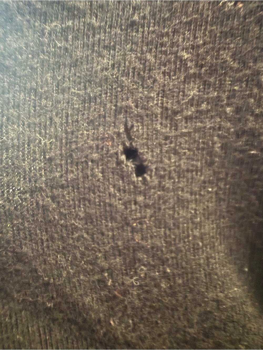 The Beatles Black Logo Crewneck Tee with White Print - Picture 3 of 3